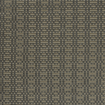 nobilis_10330-85.jpg