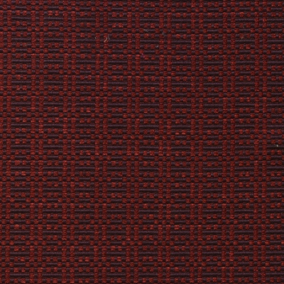 nobilis_10330-92.jpg