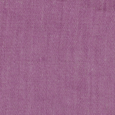 nobilis_10287-93.jpg