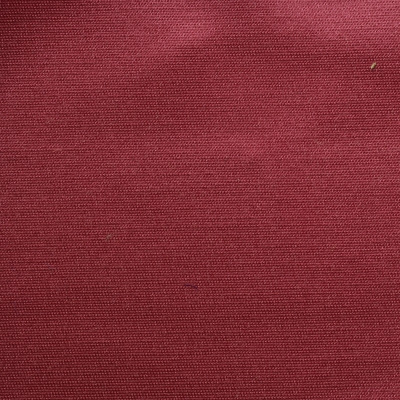 nobilis_53245.jpg