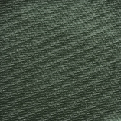 nobilis_53261.jpg