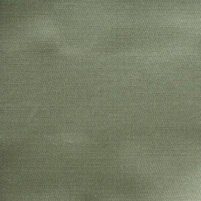 nobilis_53263.jpg
