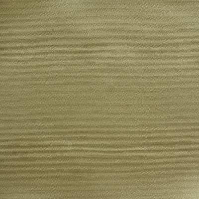 nobilis_53264.jpg