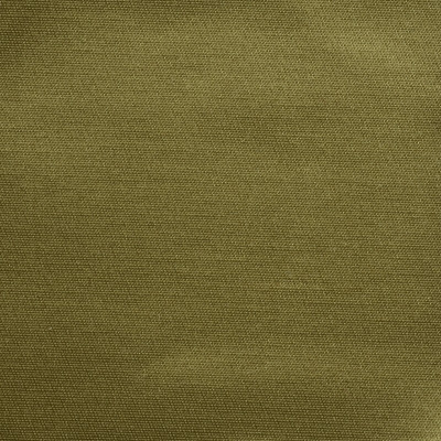 nobilis_53265.jpg