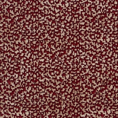 nobilis_10563-50.jpg