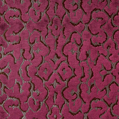 nobilis_10571-45.jpg