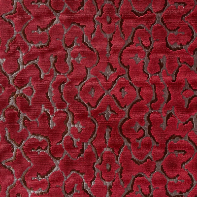 nobilis_10571-50.jpg