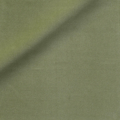 nobilis_10498-72.jpg
