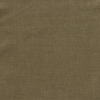 nobilis_10538-19.jpg