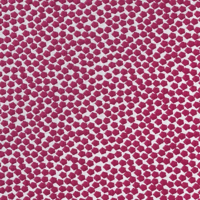 nobilis_10591-41.jpg