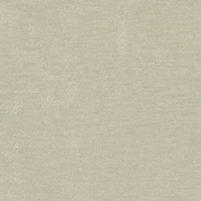 nobilis_50163.jpg