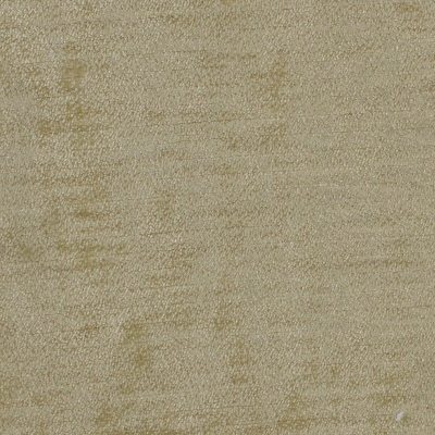 nobilis_50164.jpg
