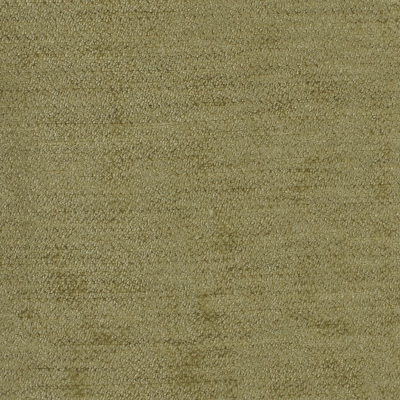 nobilis_50166.jpg