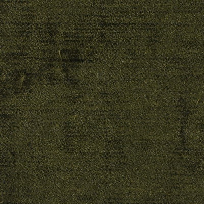 nobilis_50168.jpg