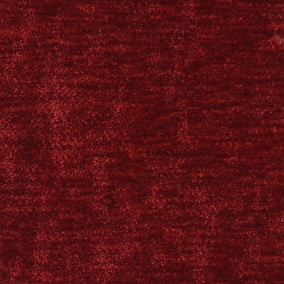 nobilis_50174.jpg