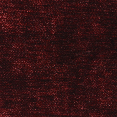 nobilis_50175.jpg
