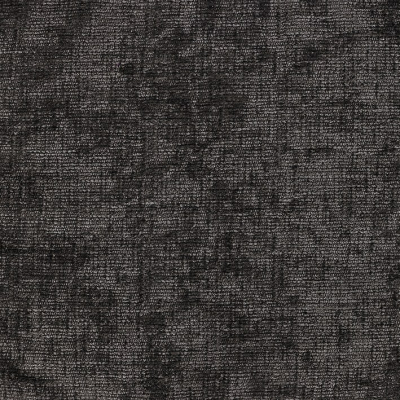 nobilis_10372-04.jpg