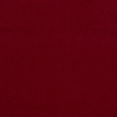 nobilis_53346.jpg