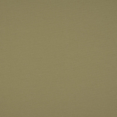 nobilis_10658-35.jpg