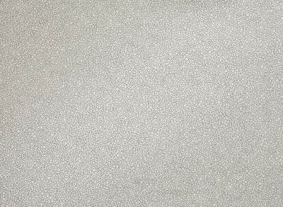 zinc_zw121-02.jpg