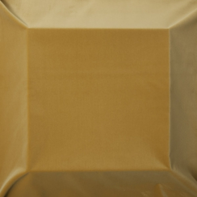 equipo-drt_20840.jpg