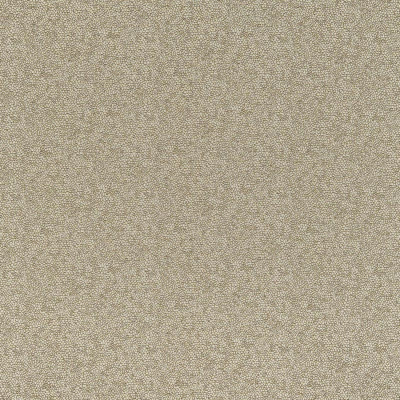 10695_14.jpg