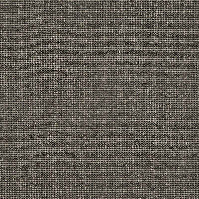 10667_23.jpg