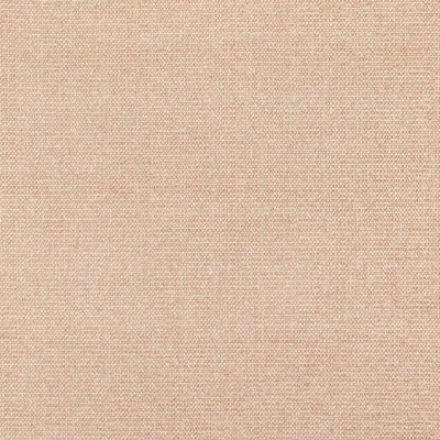 10667_40.jpg