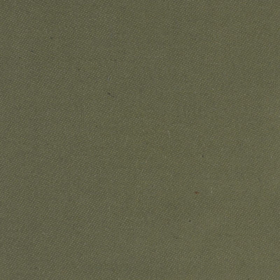 52116_0.jpg