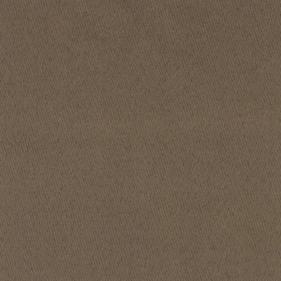 52010_0.jpg