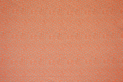 13457-62.jpg
