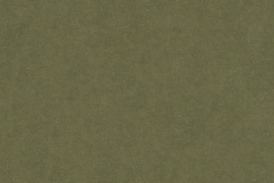 5243-33.jpg