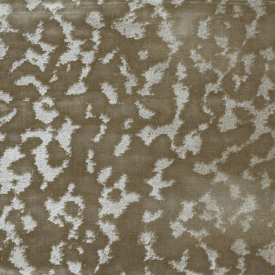 10784-05.jpg