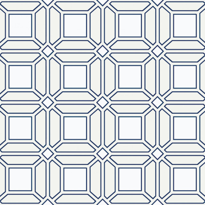 abs41.jpg