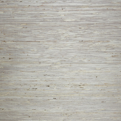 gcp137.jpg