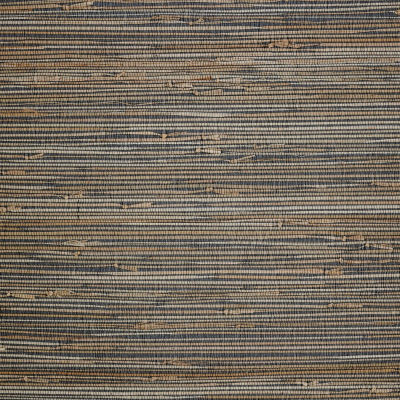 gcp905.jpg