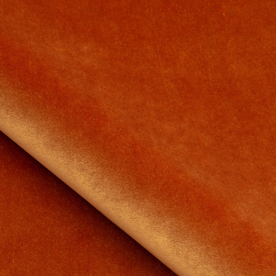 10840_34.jpg