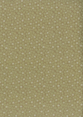 osborne_ncf4081-05.jpg