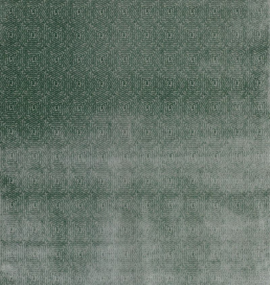 ncf4313-04.jpg