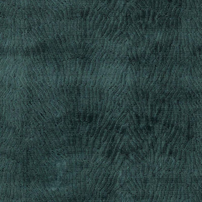 ncf4440-04.jpg
