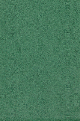 w7970-02.jpg