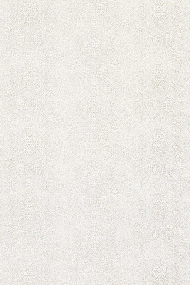 w7970-05.jpg