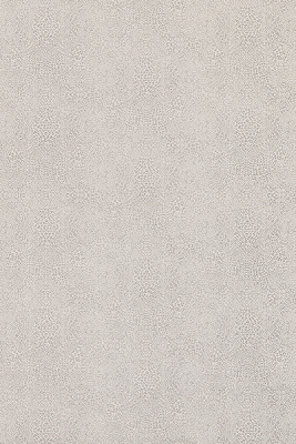 w7970-06.jpg