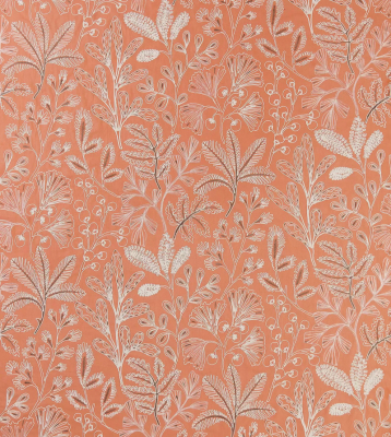 ncf4480-05.jpg