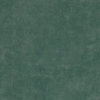 ncf4540-05.jpg