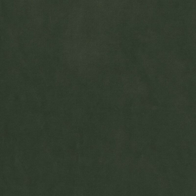 ncf4540-15.jpg