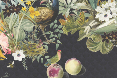 so_avantgardening__14502_201.jpg