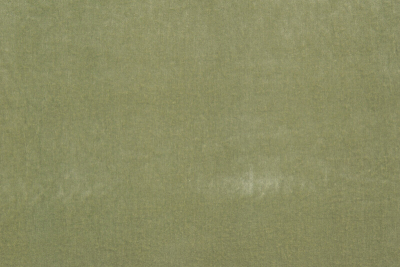 ammirato_14513_304.jpg