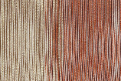 tristripe_2647_702.jpg