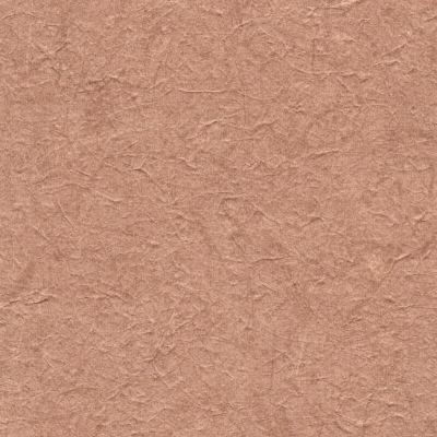 c521-48.jpg